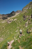 17- Sentiero verso i laghi (in alto il m.Pradella 2626 m.)